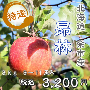 【送料無料】北海道余市産 昂林 3kg 9〜11玉入【岩田青果 売れ筋 りんご リンゴ 林檎 早生ふじ 昂林 国産 北海道産 余市 旬 果物 くだもの 旬 フルーツ ご当地 お取り寄せ プレゼント 贈り物 贈物 贈答 贈答用 お歳暮 ギフト 御歳暮】