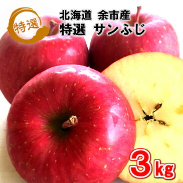 数量限定200円OFF!通常3000円⇒2800円 特選 北海道産 サンふじ 3kg 9〜12玉入 岩田青果 売れ筋 りんご リンゴ 林檎 ふじ さんふじ ふじりんご 国産 北海道 余市 果物 くだもの 旬 フルーツ お取り寄せ プレゼント 贈り物 贈物 ギフト 御歳暮 ギフト お祝い 御祝い