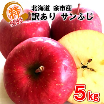 訳あり サンふじ 5kg 16〜20玉入 北海道 余市産 りんご リンゴ 林檎 さんふじ サンフジ サンふじりんご わけあり ワケアリ 家庭用 自宅用 蜜 国産 北海道産 余市 旬 果物 くだもの フルーツ 岩田青果
