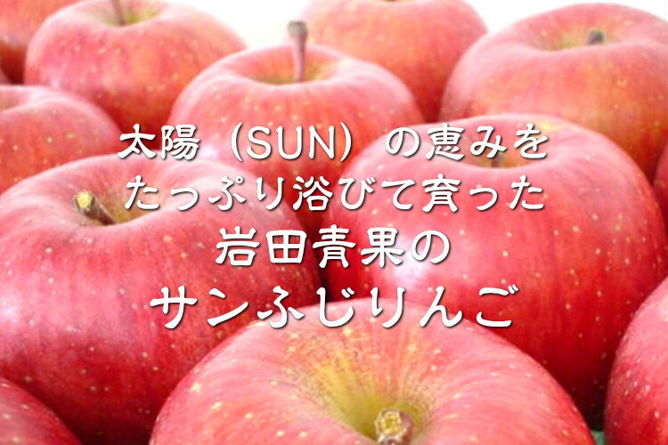 北海道 余市産 特上 サンふじ 5kg 16〜20玉入【岩田青果 ギフト用 御祝 お祝い りんご リンゴ 林檎 サンフジ さんふじ サンふじりんご 北海道 余市産 国産 果物 くだもの 旬 フルーツ 名産 お取り寄せ 化粧 箱入り ギフト 贈答 プレゼント 贈物】