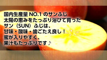 訳あり サンふじ 3kg 9〜12玉入 北海道 余市産 りんご リンゴ 林檎 さんふじ サンフジ サンふじりんご わけあり ワケアリ 家庭用 自宅用 蜜 国産 北海道産 余市 旬 果物 くだもの フルーツ 岩田青果