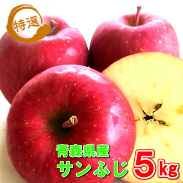 青森県産 特選 サンふじ 5kg 16〜20玉【岩田青果 売れ筋 リンゴ 林檎 サンふじ りんご さんふじ サンフジ 青森りんご 詰め合わせ 青森県産 青森 国産 フルーツ 旬 果物 くだもの プレゼント 名産 ご当地 お取り寄せ プレゼント 贈り物 贈物】
