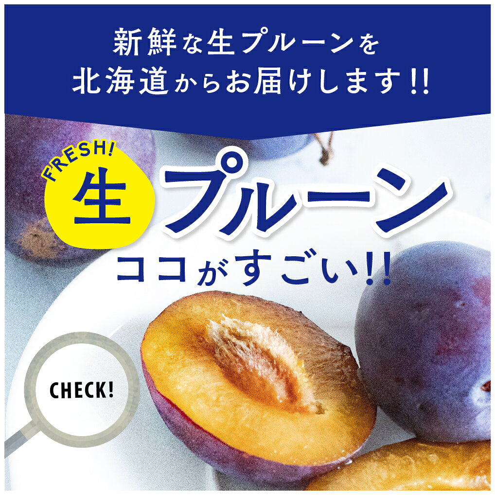 【順次出荷中】 北海道産 生プルーン 約1.6kg （400g×4） 仁木町 余市町産 LMサイ...