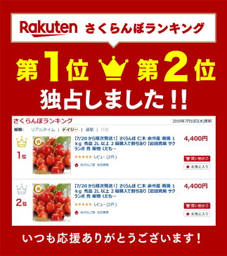 早割【7月中旬発送/予約】 サミット さくらんぼ 1kg (500g×2) 3L〜2Lサイズ 秀品 送料無料 北海道 余市 フルーツ 果物 訳あり じゃありません！ お取り寄せ グルメ お中元 御中元 ギフト 贈り物 くだもの 北海道産 プレゼント 旬 7月 予約販売 北海道応援 北海道物産展 食品