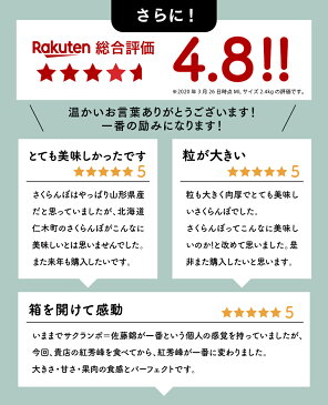 早割【7月中旬発送/予約】 紅秀峰 さくらんぼ 1kg (500g×2) Lサイズ 秀品 送料無料 北海道 余市 仁木 フルーツ 果物 訳あり じゃありません！ お取り寄せ グルメ お中元 御中元 ギフト 贈り物 くだもの 北海道産 プレゼント 岩田青果 北海道応援 北海道物産展 食品 2021