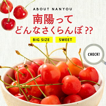 早割【7月中旬発送/予約】 南陽 さくらんぼ 1kg 2L〜Lサイズ 秀品 送料無料 北海道 余市 仁木 フルーツ 果物 訳あり じゃありません！ お取り寄せ グルメ お中元 御中元 ギフト 贈り物 くだもの 北海道産 農家直送 プレゼント 岩田青果 北海道応援 北海道物産展 食品 2021