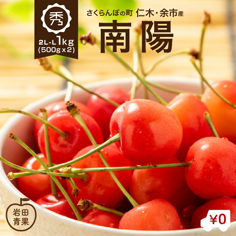 早割【7月中旬発送/予約】 南陽 さくらんぼ 1kg 2L〜Lサイズ 秀品 送料無料 北海道 余市 仁木 フルーツ 果物 訳あり じゃありません！ お取り寄せ グルメ お中元 御中元 ギフト 贈り物 くだもの 北海道産 農家直送 プレゼント 岩田青果 北海道応援 北海道物産展 食品 2021