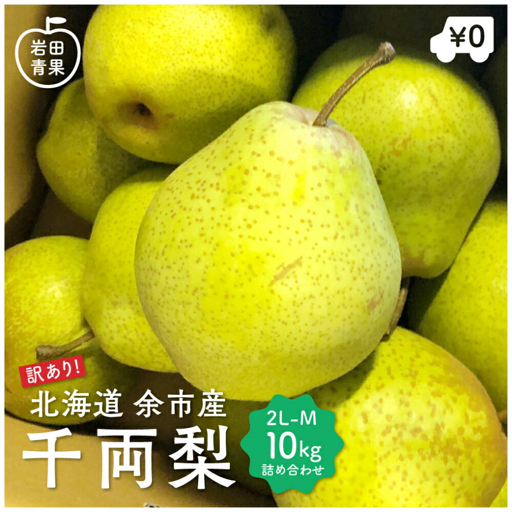 【予約/10月中旬出荷】 訳あり 千両梨 北海道 産余市産 10kg M〜2Lサイズ サイズ選択不可の為、訳ありとして販売 【幻の梨】 梨 ナシ なし 果物 くだもの フルーツ 旬 国産果物 国産フルーツ プレゼント 贈り物 贈物 ギフトのサムネイル