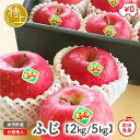 【予約販売】 サンふじ 特上 北海道 余市産 岩田青果 ギフト用 御祝 お祝い りんご リンゴ 林檎 サンフジ さんふじ サンふじりんご 北海道 余市産 果物 ...