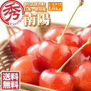 【7/15〜発送/予約】 南陽 さくらんぼ 800g×2 計...
