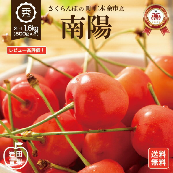  南陽 さくらんぼ 1.6kg  早割 2L〜Lサイズ 秀品 送料無料 北海道 余市 フルーツ 果物 訳あり じゃありません！ グルメ お中元 ギフト 贈り物 くだもの 北海道産 農家直送 プレゼント 岩田青果