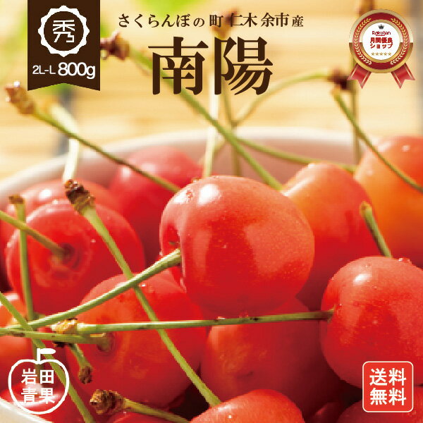  南陽 さくらんぼ 800g  早割 2L〜Lサイズ 秀品 送料無料 北海道 余市 フルーツ 果物 訳あり じゃありません！ お取り寄せ グルメ お中元 御中元 ギフト 贈り物 くだもの 北海道産 プレゼント 岩田青果 食品