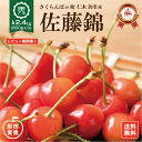 【予約販売】 さくらんぼ 佐藤錦 240