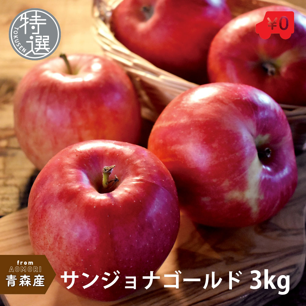 特選 青森県産 サンジョナゴールド 3kg 9～12玉前後 りんご リンゴ 林檎 ジョナゴールド 青森 国産 果物 お取り寄せ 旬の果物 くだもの 旬 フルーツ 詰め合わせ