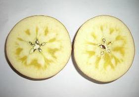 【9玉・約3kg・蜜入サンふじ】【送料無料(沖縄除く)】お歳暮・贈り物・お土産・いわてひろファーム 佐藤農園のこだわり舌崎(したざき)リンゴ・11月下旬〜12月中旬頃発送開始【RCP】