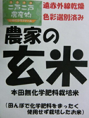 発送中【農家の玄米（本田）5kg×1袋】★送料無料（沖縄除く）数量限定・色彩選別済・本田無化学肥料栽培【RCP】 2