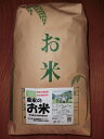 発送中【農家の玄米（本田）10kg×1袋】★送料無料（沖縄除く）数量限定・色彩選別済・本田無化学肥料栽培【RCP】