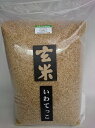 令和5年産★小笠原農園の「いわてっこ」玄米10kg慣行栽培★送料無料（沖縄除く）数量限定 【岩手県二戸市産・御礼・贈り物・ご家庭用】【米穀検査済1等米100%使用】【RCP】