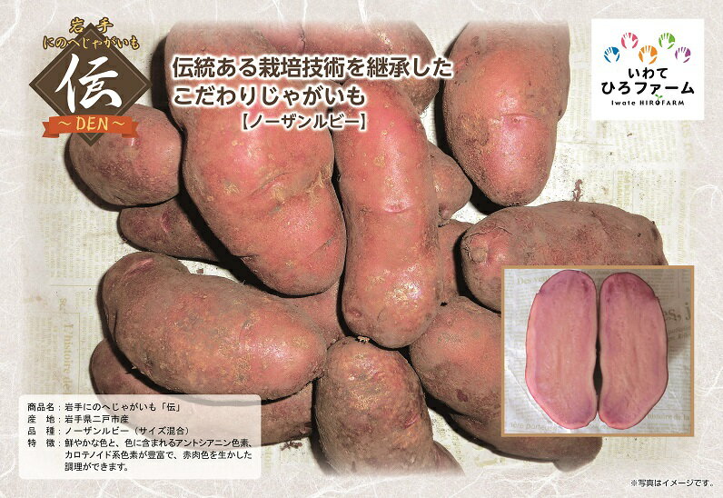 新じゃが予約中【厳選じゃがいも380g（ノーザンルビー・サイズ混合）】送料別（大型宅配便選択不可）【岩手にのへじゃがいも「伝」】【岩手県二戸市産・数量限定】【RCP】 2