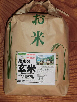 発送中【農家の玄米（本田）5kg×1袋】★送料無料（沖縄除く）数量限定・色彩選別済・本田無化学肥料栽培【RCP】