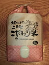 発送中【精米5kg×1袋】★送料無料（沖縄除く）希少品種「いわてっこ」★【田んぼで化学肥料ゼロ栽培】お試し価格精米！数量限定【岩手県二戸市産・御礼・贈り物・ご家庭用】【RCP】