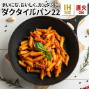 岩鉄鉄器 ダクタイルパン22 鉄器 フライパン 鍋 22cm IH・ガス火対応 ポット アウトドア iwatetsu tekki 送料無料 公式 直営店商品 ※...