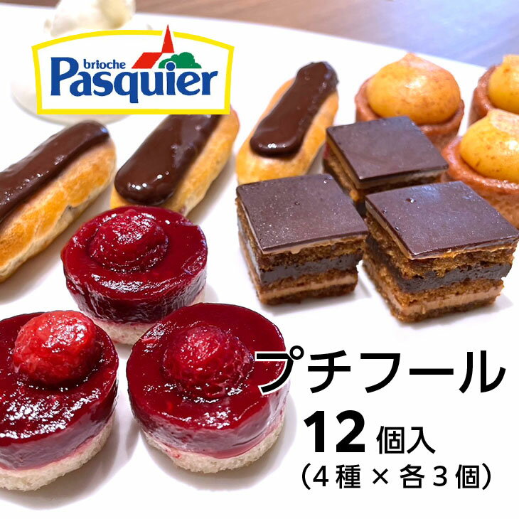 プチフール 4種×各3個入り パスキエ プチガトー 詰め合わせ デザート プレゼント ギフト スイーツ お菓子 誕生日 ホームパーティ お祝い お取り寄せ 洋菓子 手土産 カフェ 業務用 タルト ケーキ 冷凍 解凍のみ 食欲の秋