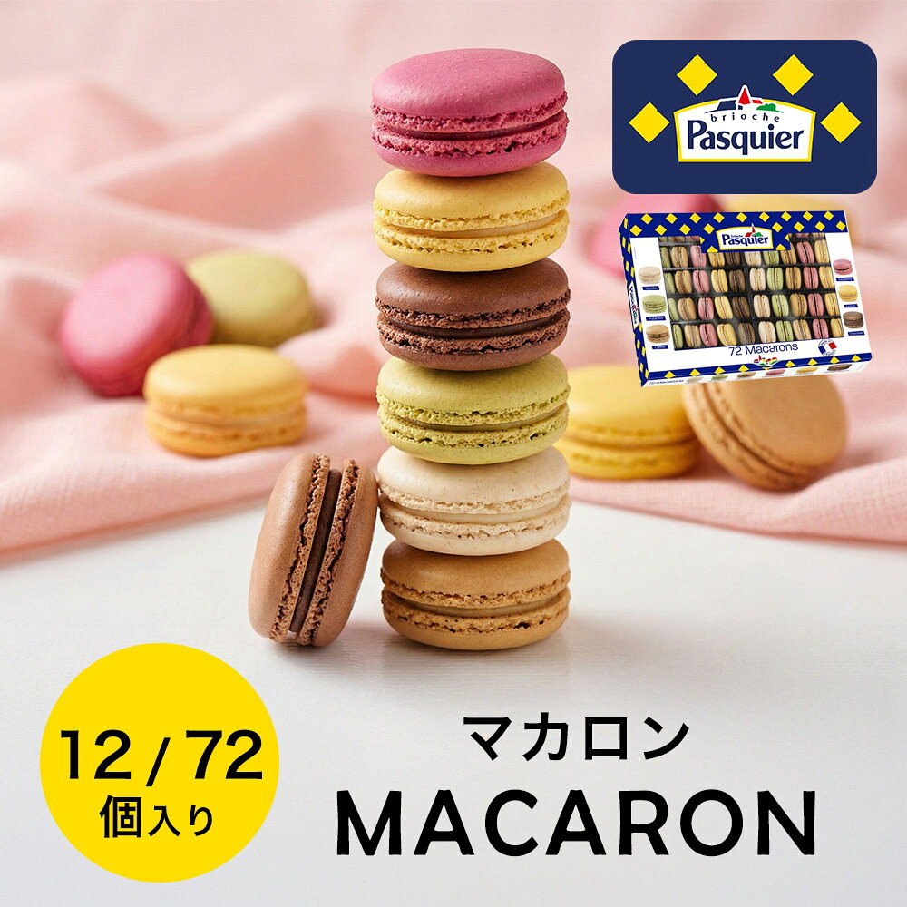 ＼ポイント2倍！お買い物マラソン／冷凍 マカロン (12個入・72個入) ブリオッシュ パスキエ プレゼント ギフト スイーツ お菓子 誕生日 手土産 お祝い お返し お取り寄せ 洋菓子 手土産 カフェ 業務用 デザート ケーキ 冷凍 解凍のみ お歳暮 御歳暮 クリスマス ハロウィン