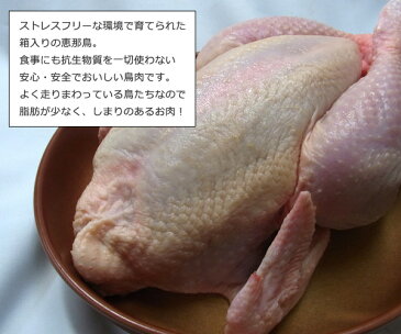 鶏肉 丸鳥 丸鶏 丸とり 中抜き 1羽 生 国産 岐阜県産 恵那鶏 中抜き丸鶏 約1.8kg(1羽分) 贈り物 ギフト 丸焼き パーティー クリスマス 年末年始 バーベキュー BBQ グランピング