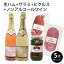 【5点セット】【生ハム プロシュット・スライス/100g】【サラミ ミラノ・サラミ カステッロ/100g】イタリア産、【ノンルコール スパークリングワイン デュクデュモンターニュ/750ml×2】ベルギー産、【コルニッション/ペルシュロン/350g】フランス産 ギフト プレゼント 福袋