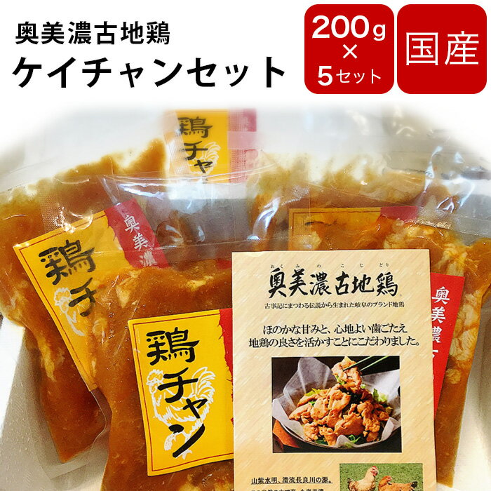 鶏肉 国産【奥美濃古地鶏 ケイチャン】200g 5 【冷凍便】 【同梱不可】本州のみ送料無料 ギフト国産 岐阜県 鶏 パーティ BBQ 地方グルメ 名産 父の日