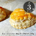 ＼お買い物マラソン4月17日 01:59まで／焼くだけ冷凍パン  ミニ・ショッソン・ポム（アップルパイ） 40g 3個セット（未焼成パン） 業務用 朝食 フランス産 ショートニング不使用 マーガリン不使用 母の日