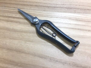 【メール便】 阿武隈川宗寛 摘果鋏 200mm 金止 山形打刃物 日本製 鍛造 手造り