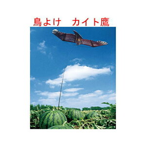 【在庫限り】 福農産業 鳥追いカイト鷹