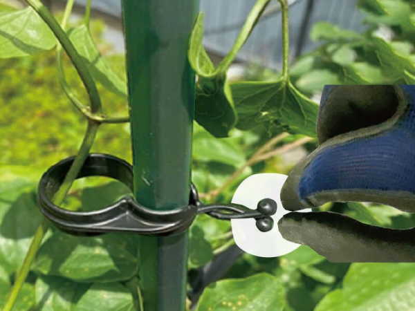 DAIM ひねってキャッチ 16mm支柱用 50個入 第一ビニール 誘引 結束 支柱