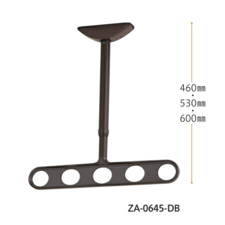 【 送料無料 】 川口技研 軒天用 ホスクリーン ( ZA-0645-ST ・ ZA-0645-DB ・ ZA-0645-PW ) 【2本組】 [ 物干し 洗濯 室外 屋外 ベランダ シンプル ZA-0645 ]