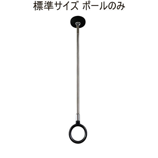 川口技研 室内用ホスクリーン スポット型 標準サイズ ポールのみ BK ブラック SPC-BK用【1本】 ※本体別売
