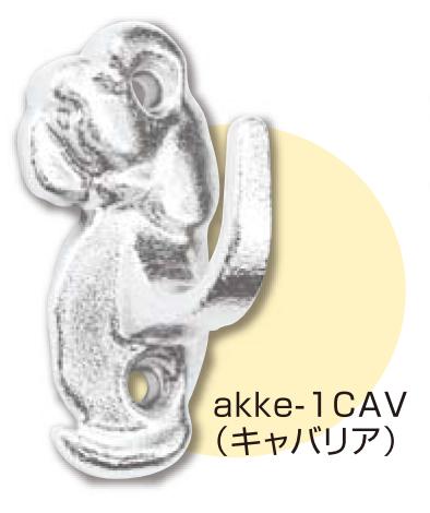  ᡼   Ҥᤸ ƥ쥹 akkeեå  akke-1CAV Хꥢ