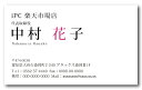 名刺 カラー 名刺印刷 名刺 シンプル カラー 名刺 横 b022【片面/100枚】