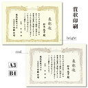 【ポイント10倍中】賞状印刷 A3 B4 クリーム色 【イメージ確認あり】感謝状 表彰状 賞状 名入れ賞状 御礼 御祝 送料無料 校正無料 地域・社会貢献 コンテスト MVP 勤続 定年 退職 長寿 還暦 修了証書 昇級 雲あり 雲竜