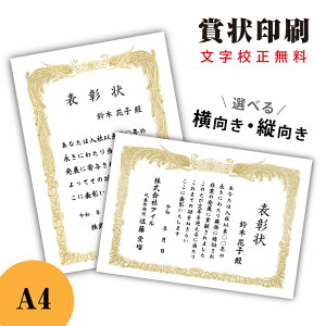 賞状印刷 A4 【イメージ確認あり】感謝状 表彰状 賞状 名入れ賞状 御礼 御祝 送料無料 校正無料 地域・社会貢献 コンテスト MVP 勤続 定年 退職 長寿 還暦 修了証書 昇級 雲あり 雲竜