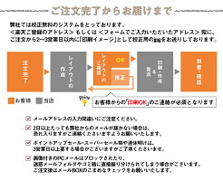 【印刷イメージの確認が無料!】名刺b007【片面/100枚】名刺印刷名刺作成校正無料ロゴ入稿可名刺作成メール便送料無料