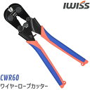 【LINE登録で300円OFF】 アイウィス IWI