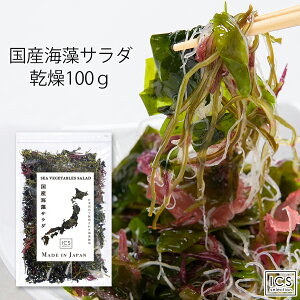 国産 乾燥海藻サラダ100g わかめ 茎わかめ 昆布 ふのり 赤とさか 白おご 送料無料 イクスセレクション グルメ食品 産直