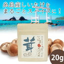 月間セール 半額セール 万能スパイス 茸 20g 福岡県 糸島産 しいたけを使用した オニオンのうま味調味料 ミックススパイス 万能調味料