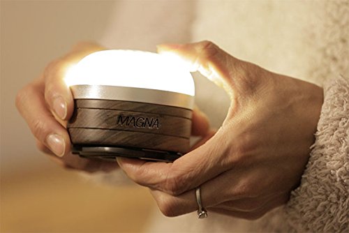 MAGNA (マグナ) 充電式 Bluetooth 防水スピーカー LEDランタン 無垢材 ブラックウォールナット仕様 専用ハードケース付通販格安セール情報 楽天 通販