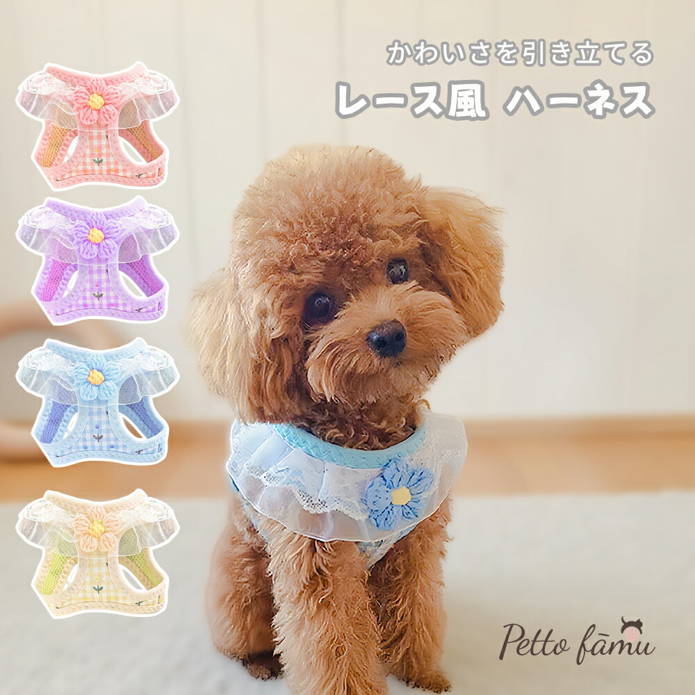  ϡͥ  襤  ϡͥ ꡼դ  ƹ å ̵  졼 襤   ˤ䤵 ϡͥ ڥå ϡͥ ȴʤ æˤ 4 S M L ȥסɥ