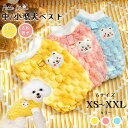 【まとめ買いでおトク!クーポン配布中】 犬服 冬 春 犬 ベスト ペット服 かわいい クマ ドッグウエア ペット ベスト ドッグウェア 犬の服 小中型犬服 暖か...
