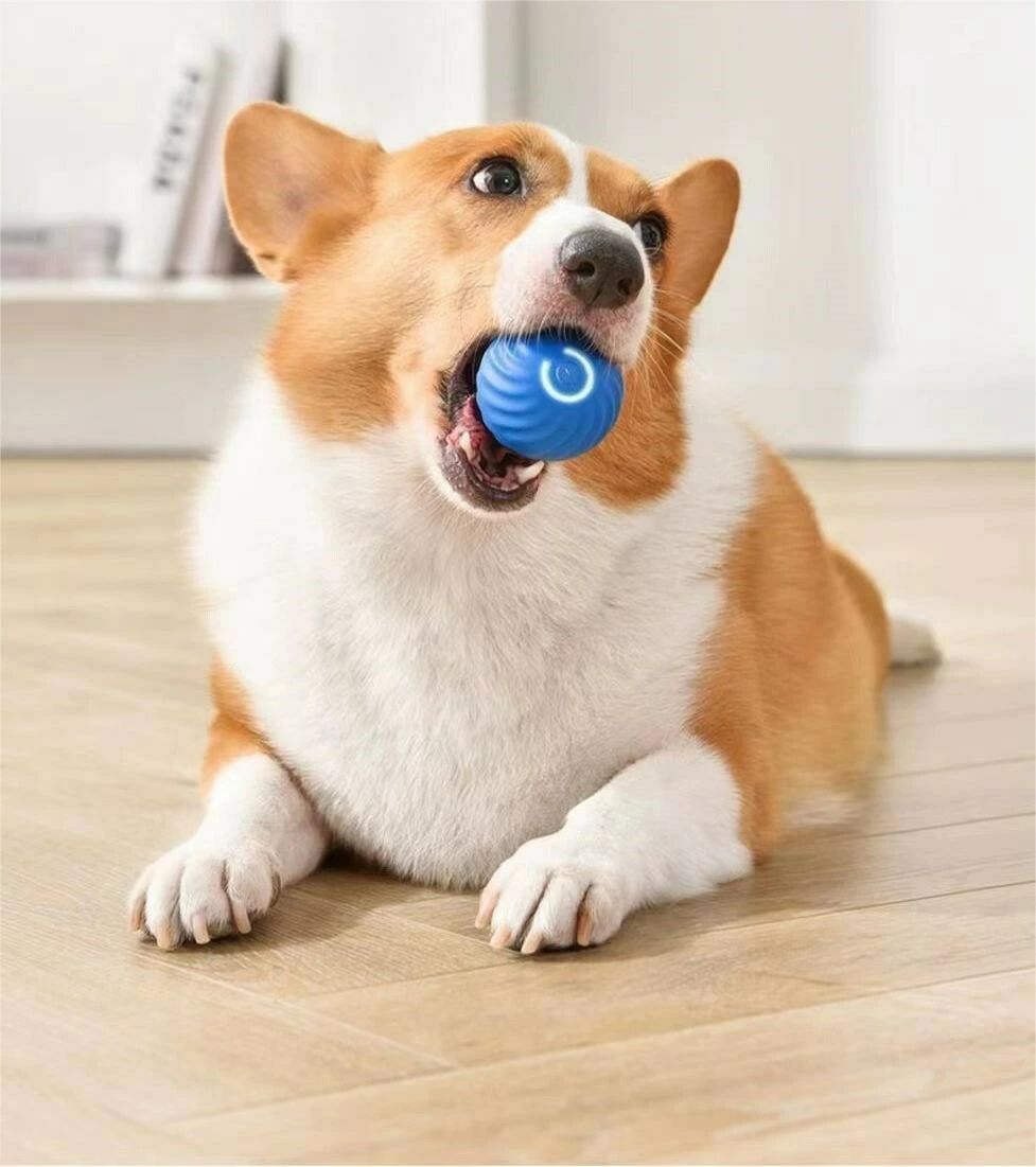 自動動き 犬おもちゃ 揺れ 光るボール ボール 電動ボール ゴム Cheerble 自動