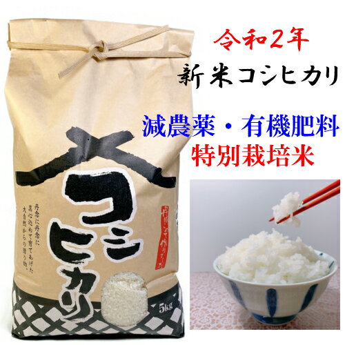 令和2年 2020年 新米 5キロ お試し コシヒカリ プレゼント付き2020年 5...